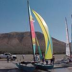 Hobie 16 Spinnaker