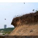 The Tower on Gooseberry Neck