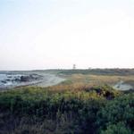 Looking towards the Tower, Gooseberry Neck