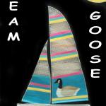 Team Goose Banner