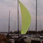 The sail is a 19m2 F18 sail from a Dart.Its 2nd hand, very cheap (2 for the price of 1!), and in perfect condition. (Like the co