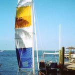 Palm tree shadows on the sails