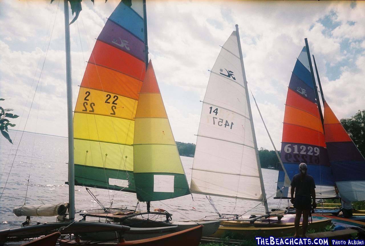 The cats of Bernhards Bay N.Y.~~Oneida Lk.