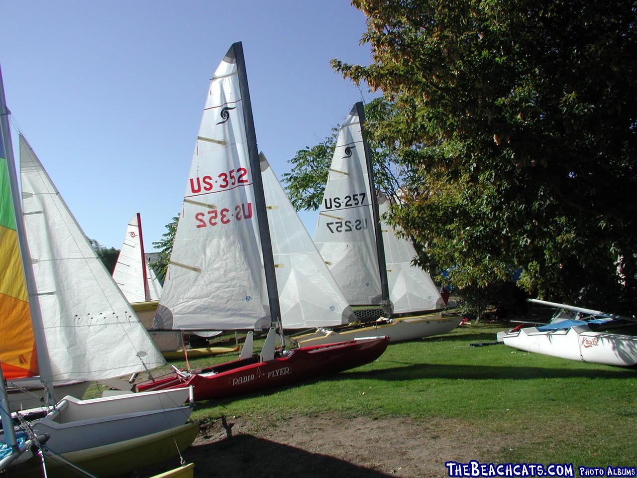 some of the boats at rest on a grassy beach.