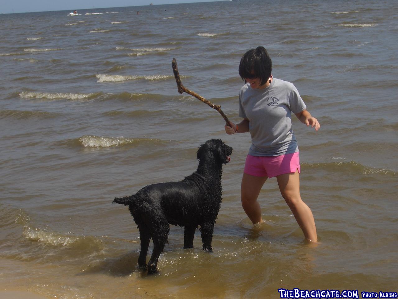 Throw the stick, will ya?