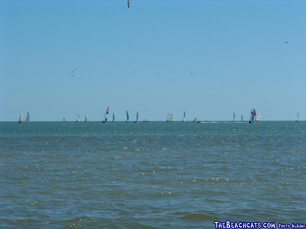 Boats and Birds