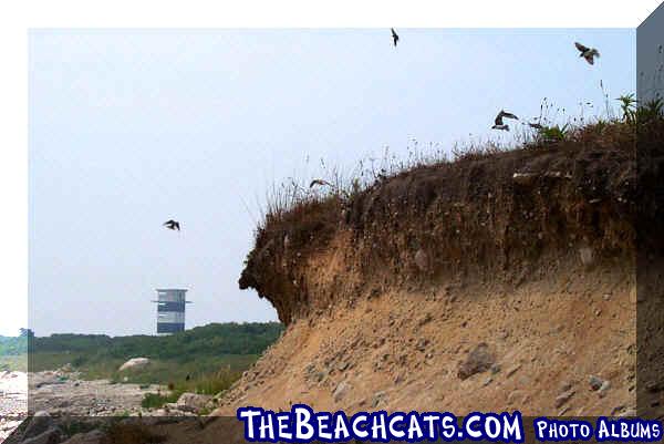 The Tower on Gooseberry Neck