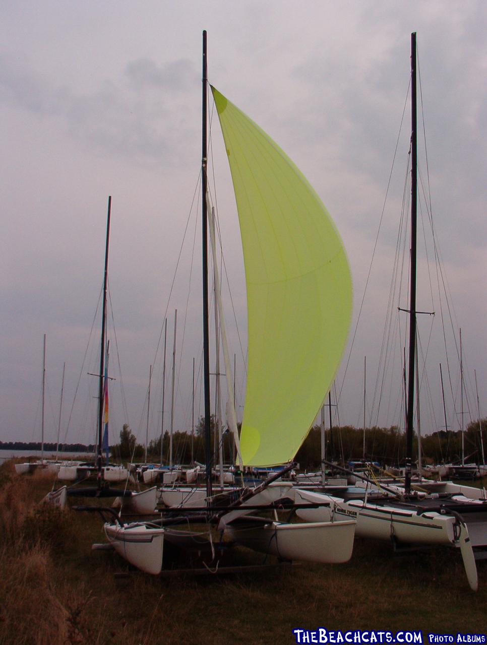 The sail is a 19m2 F18 sail from a Dart.Its 2nd hand, very cheap (2 for the price of 1!), and in perfect condition. (Like the co