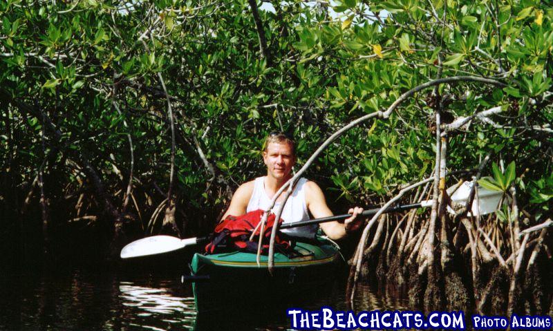 Mangroves