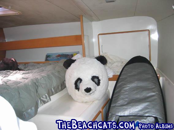 You might ask why a picture of a panda head?  Trust me don't ask...