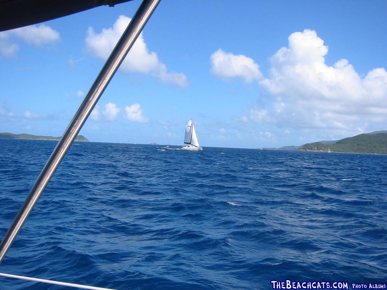 cat sailing off Bight