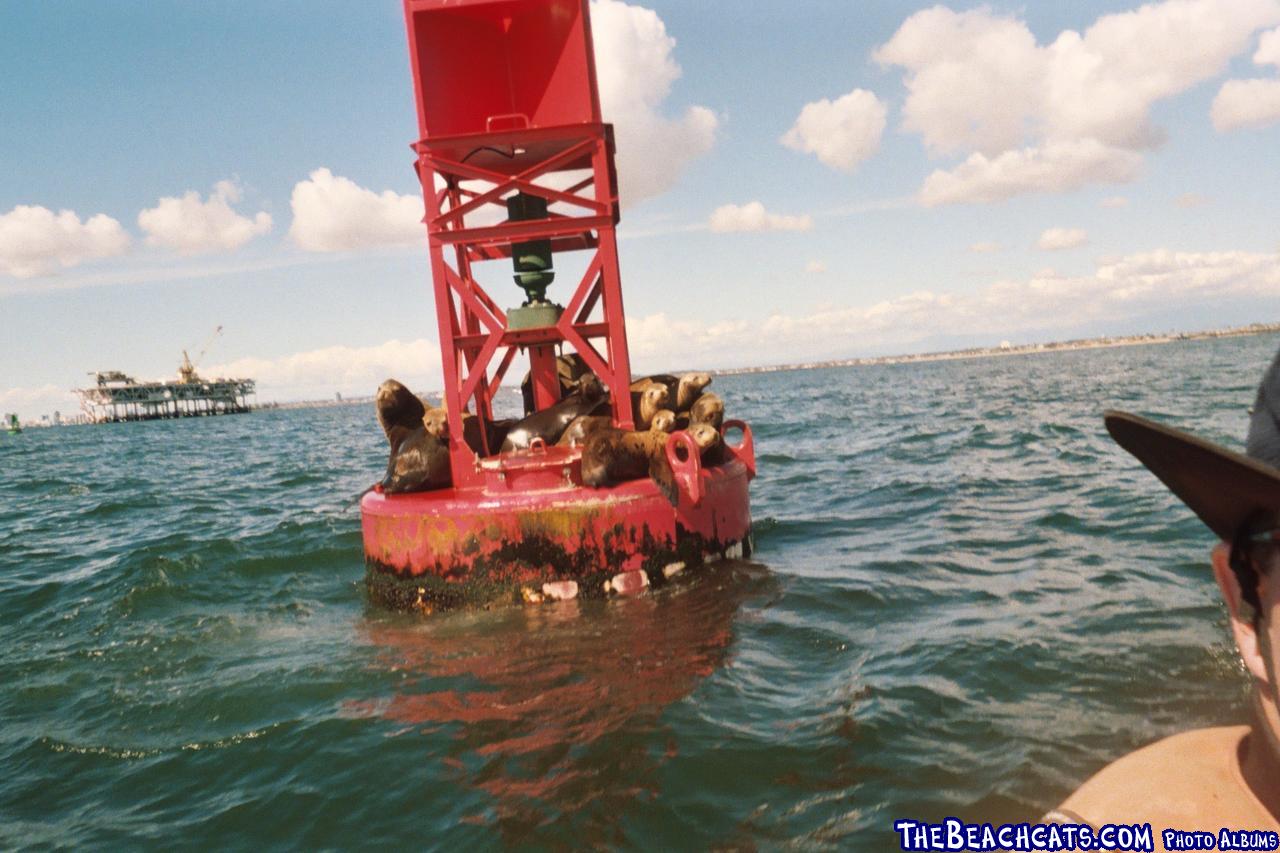 seals on marker