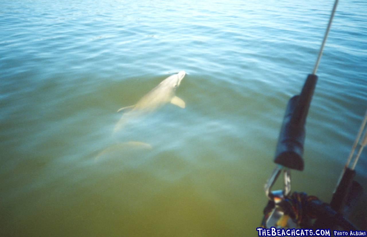 DOLPHIN at Cape Canaveral 2003