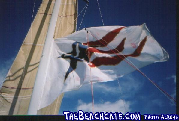 Stars & Stripes flag flown for the first time since the 88 America's Cup.