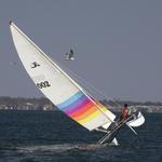 2007 PAULs 1973 HOBIE 16 Flying Cat