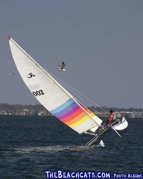 2007 PAULs 1973 HOBIE 16 Flying Cat