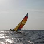 2007 JOHN Hobie 16