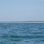 2007-08-30_Sail (29)