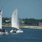 The cruising fleet prepares to start