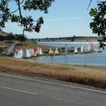 of the 57 boats at the Classic, 27 were Sea Sprays