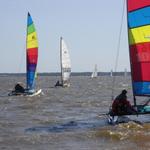 Hobie_Midwinters_East_2005_068.jpg