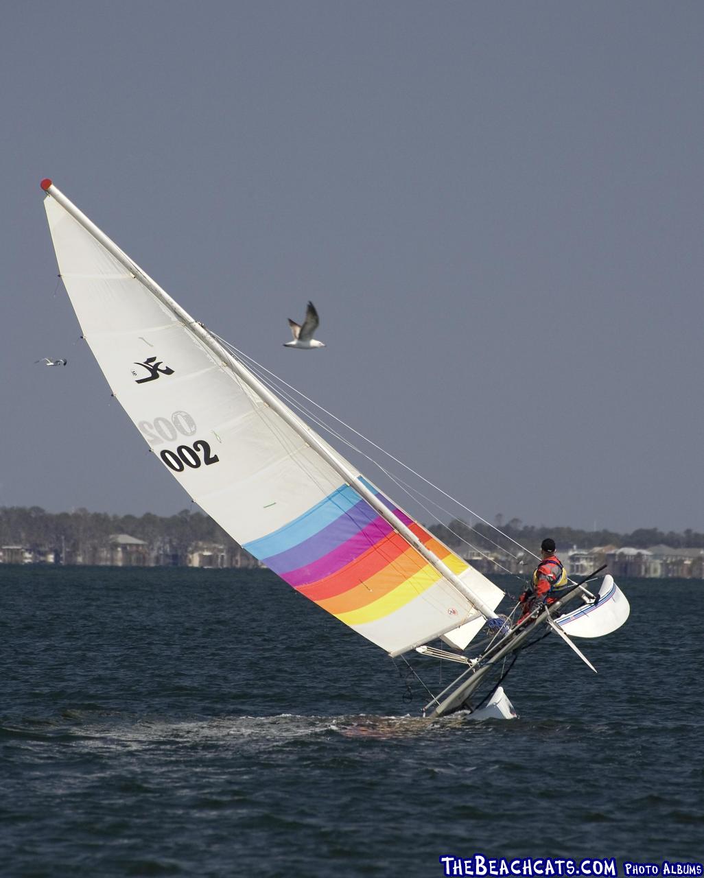 2007 PAULs 1973 HOBIE 16 Flying Cat