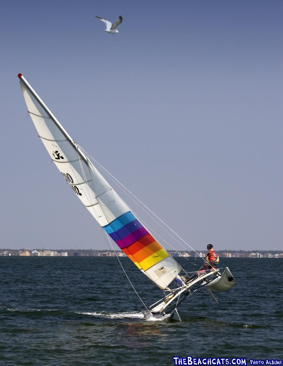 2007 Paul and 1973 HOBIE 16 - Toward