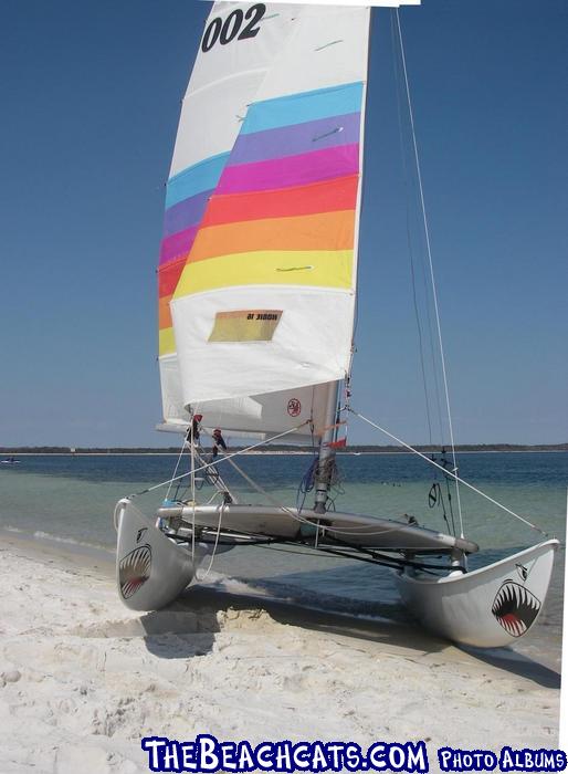 1973 HOBIE 16 SHARKs Teeth