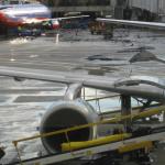 Nacra being loaded in LAX