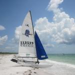 Sitting on Caladesi Island, Fl (just recently named the best beach in North America for 2011). 