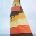 Hobie Catamaran Models