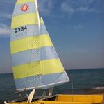 Solcat on Glencoe beach, Lake Michigan