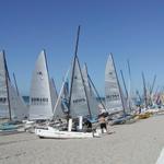 Boats waiting for the wind in Rocky Point